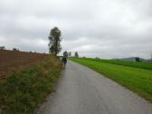  Blick auf die Wanderstrecke bei Pehendorf 