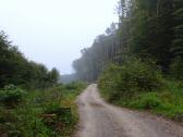  Blick auf die Wanderstrecke 