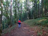  Wanderroute bergab vom Kogel 