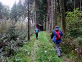  Wanderroute durch den Wald des Dirnbergs 