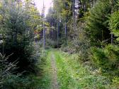  Wanderroute durch ein kleines Waldstck 