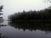  Blick im Morgennebel ber den Herrensee 