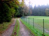  Blick auf die Wanderstrecke beim Krashof 