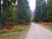  Wanderroute durch den Schnauer Forst 