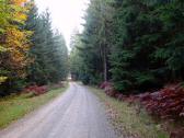  Wanderroute durch den Schnauer Forst 