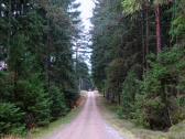  Wanderroute durch den Schnauer Forst 