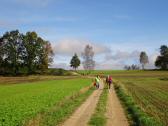  Marathonis auf dem Weg nach Gopprechts 