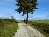  Marathonis auf dem Weg nach Gopprechts 