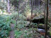 Wanderweg durch der Hllgraben entlang des Fhrenbachs 