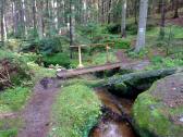 Wanderweg durch der Hllgraben entlang des Fhrenbachs 