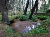  Wanderweg durch der Hllgraben 