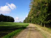  Blick auf die Wanderroute nach Loimanns 