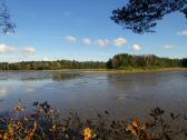  Blick zum leeren "Groen Teich" 