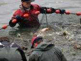  abfischen am "Groen Teich" 