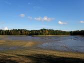  Blick zum leeren "Groen Teich" 