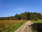  Blick auf die Wanderstrecke Richtung Illmanns 