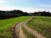  Blick auf die Wanderstrecke 