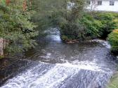  Wasserablauf des Herrensees - Reibach 