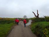 Wanderroute auf dem Weinwanderweg in der Riede Dechant 