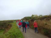 Wanderroute auf dem Weinwanderweg in der Riede Dechant 