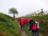 Wanderroute auf dem Weinwanderweg auf dem Kferberg 