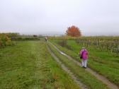  Wanderroute durch die Riede "Loiser Heide" 