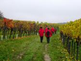  Wanderroute durch die Riede "Loiser Heide" 