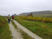  Wanderroute durch die Riede "Loiser Heide" 