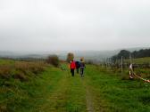  Blick auf die Wanderroute Richtung Schiltern 