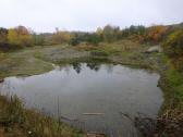  Naturteich in der Riede Tanzer 