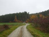  Blick auf die Wanderroute beim Reitberg 