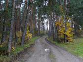  Blick auf die Wanderroute 