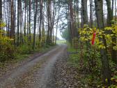  Blick auf die Wanderroute 