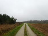  Blick auf die Wanderstrecke auf der Hochebene 