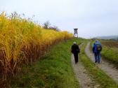  Blick auf die Wanderstrecke 