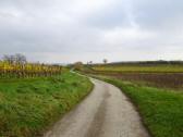  Wanderroute durch die Riede "Loiser Heide" 