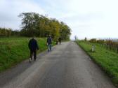 Wanderroute ber die alte Schilternerstrae auf dem Schilterner Berg 