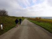 Wanderroute ber die alte Schilternerstrae auf dem Schilterner Berg 