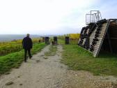 Wanderroute auf dem Weinwanderweg in der Riede Schenkenbichl 