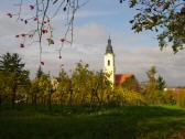 Blick zur Pfarrkirche Langenlois, dem heiligen Laurentius geweiht 