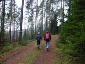  Wanderweg zum Wachtberg 