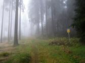  Wanderweg auf dem Wachtberg 