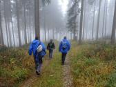  Wanderweg auf dem Wachtberg 