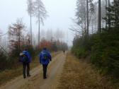  Wanderweg auf dem Wachtberg 