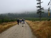  Wanderroute durch das Gebiet der Zeiler-Berge 