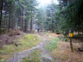  Wanderweg zum Nebelstein (Nebelsteinhtte) 