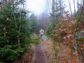  Wanderweg zum Nebelstein (Nebelsteinhtte) 