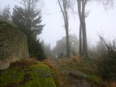  Blick zur Aussichtsplattform auf dem Nebelstein 