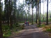  Wanderweg vom Nebelstein zum Parkplatz 