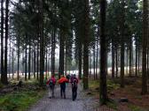  Wanderweg vom Nebelstein zum Parkplatz 